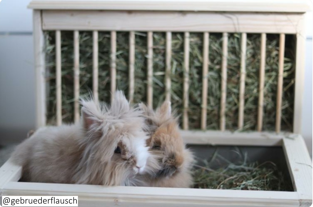 heuraufe-mit-kaninchentoilette-fuer-kaninchen